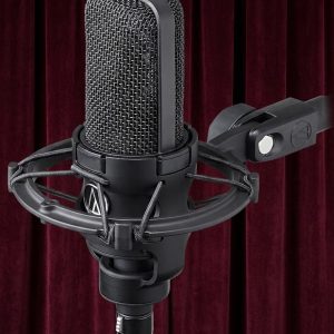 AT-4040 Condenser Microphone W/Cage