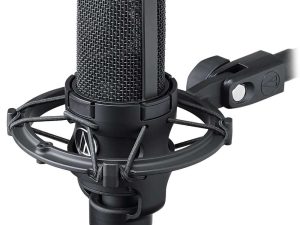 AT-4040 Condenser Microphone W/Cage