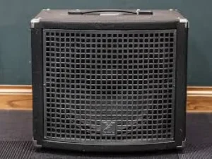 Yorkville XC115XC speaker